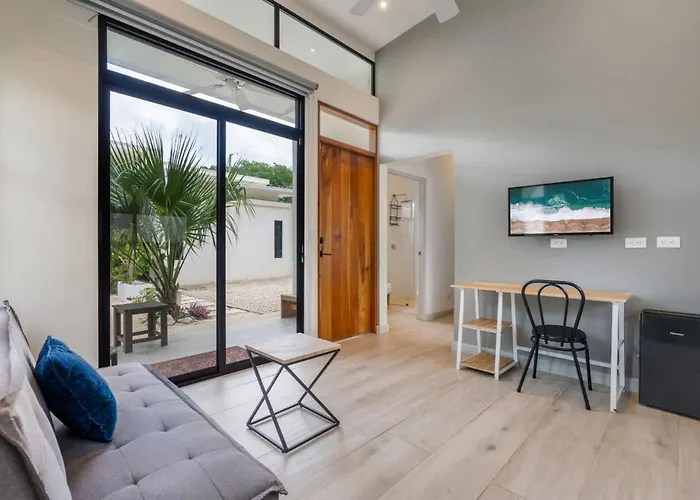 Сasa de vacaciones Sprawling Modern With A Tranquil Outdoor Living Space Swimming Pool And A Private Casita Playa Flamingo
